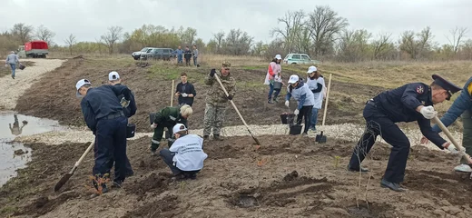 Коробов сад красный яр